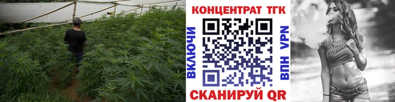 Дистиллят ТГК Wax  Беломорск 